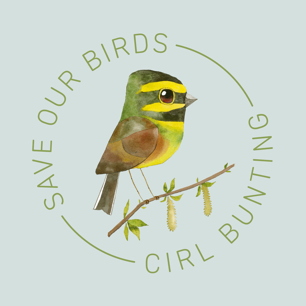 matt sewell cirl bunting organic tee