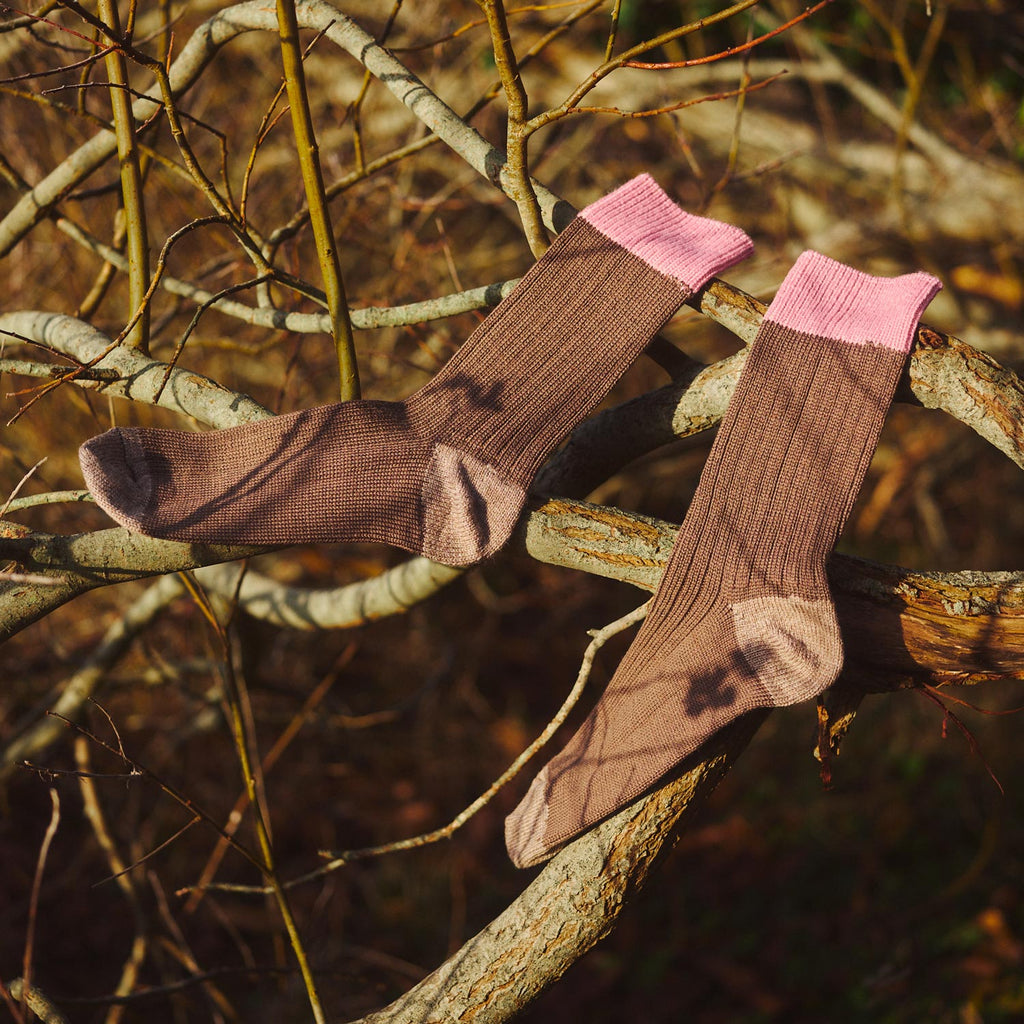 Matt Sewell Silverstick Merino Wool Twite Bird Sock Tree
